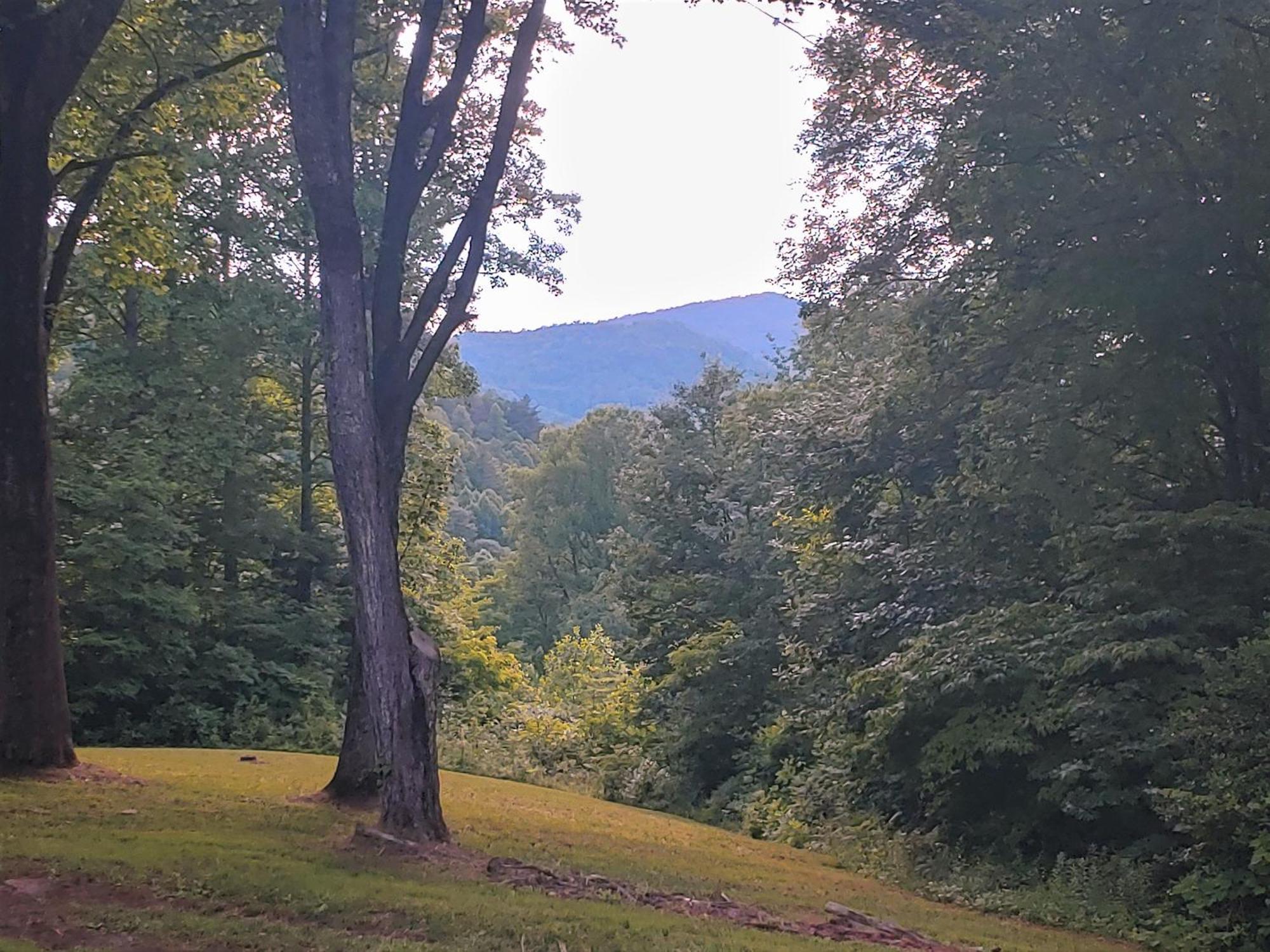 Bryson City Creekside Home With Hot Tub- 3 Bedroom-2 Bath Home Екстериор снимка